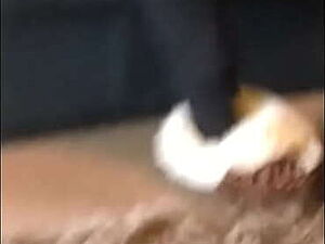 Desi Stepsister Caught Calling Her  Boyfriend Than Fucked By Her Stepbrother With Hindi Audio