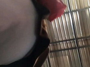 Seducing my step Cousin Sister