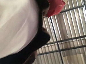 Lucky Boyfriend sucking boobs of girlfriend in car