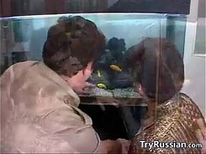 Selena Ivy Play With New Stepdad