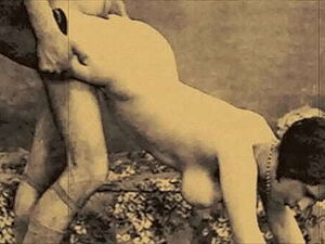 MI to suwite bardder