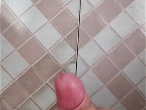 Desi Fucked in Bathroom