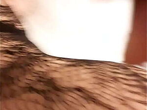 Indian big pussy wife nicely fucking