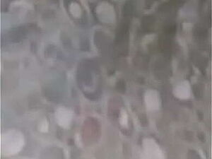 Saali ki chut faar diye