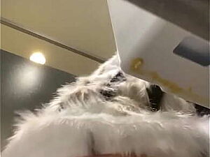 Ahhh Lund Se paani nikal dene wali GAAND