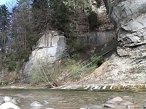 Tiny teen in panthose gets ass fucked