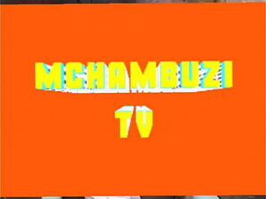 Muslim girl fucked by Army