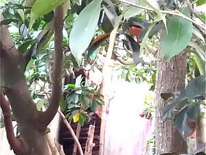 Riding a desirable dong