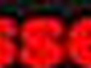 Desi Bhabhi Blowjob And Fucked