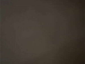 Today Exclusive -indian Hot Bhabhi Fucked By Young Handsome Sales Boy!